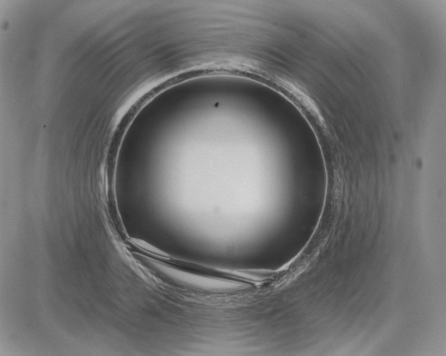 X0000081450936200701261909