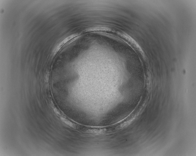 X0000081450937200701261909