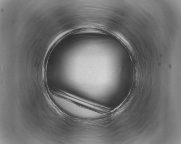 X0000081450940200701261909