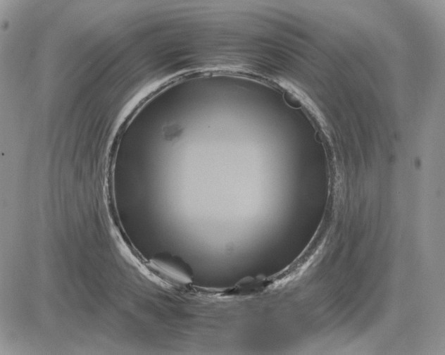 X0000081450941200701261909