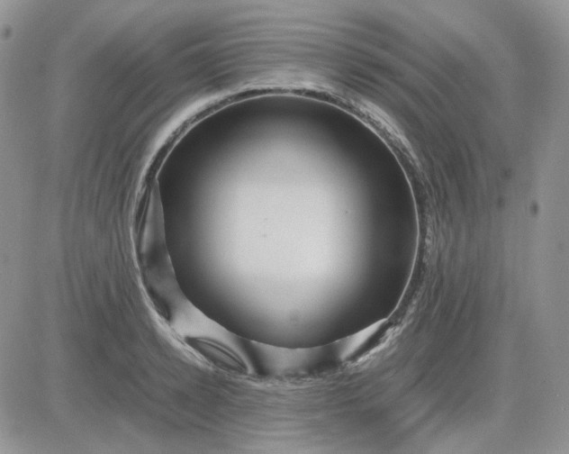 X0000081450942200701261909