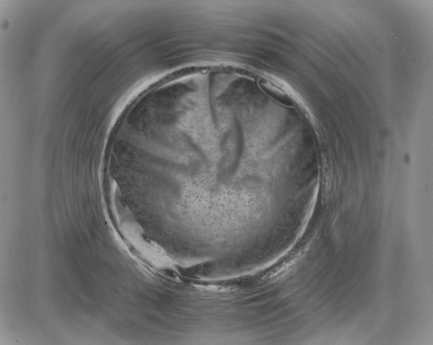 X0000081450943200701261909