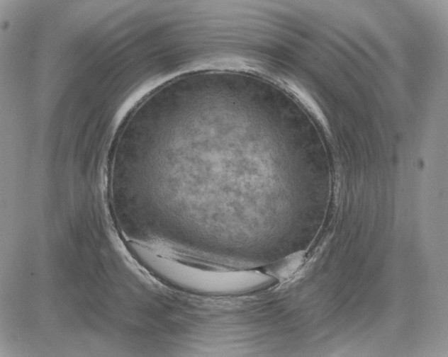 X0000081450944200701261909