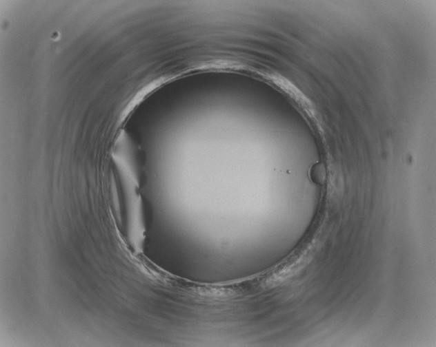 X0000081450945200701261909