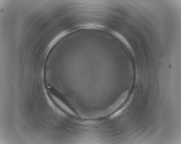 X0000081450946200701261909