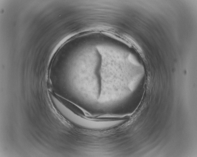 X0000081450948200701261909