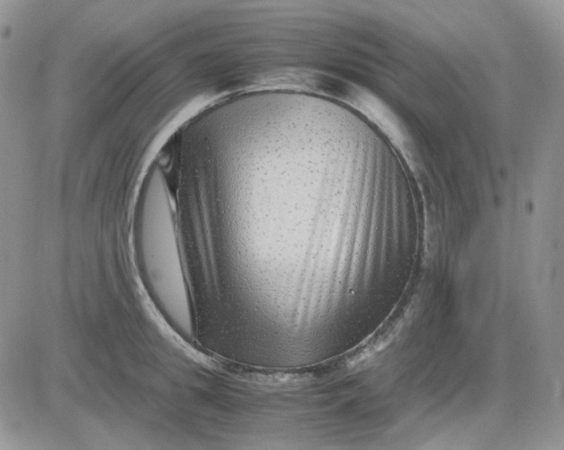 X0000081450949200701261909