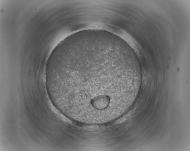 X0000081450950200701261909