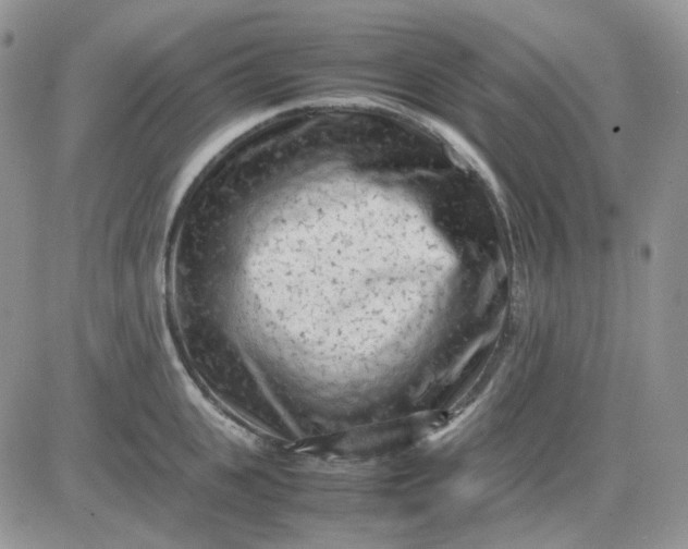 X0000081450951200701261909