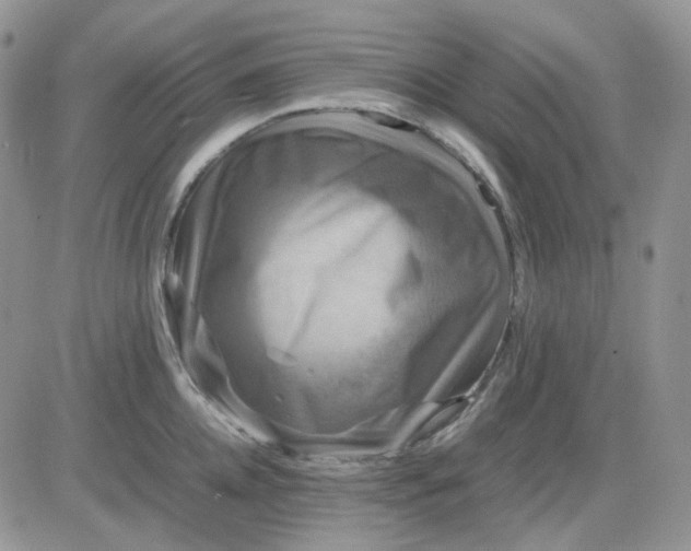 X0000081450952200701261909