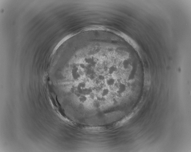 X0000081450953200701261909