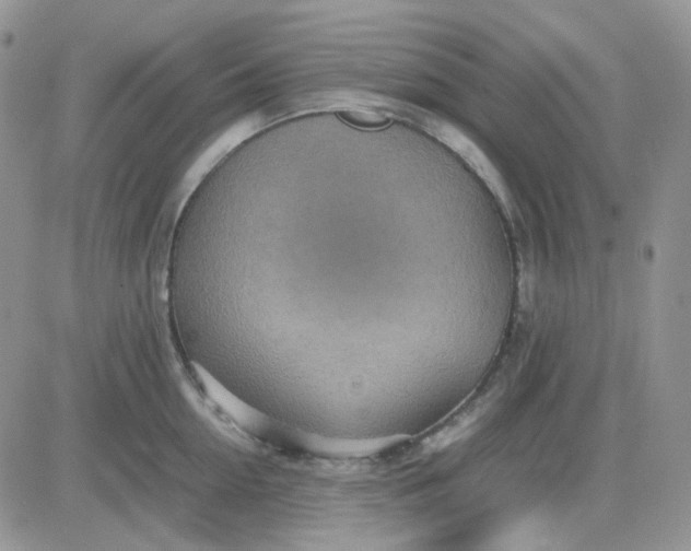 X0000081450954200701261909