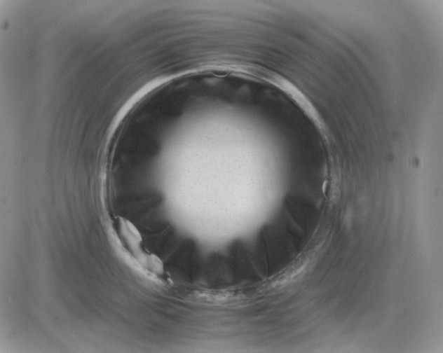 X0000081450955200701261909