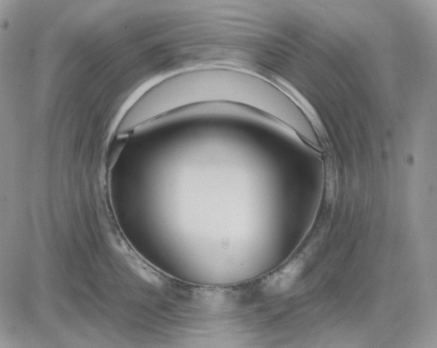 X0000081450956200701261909