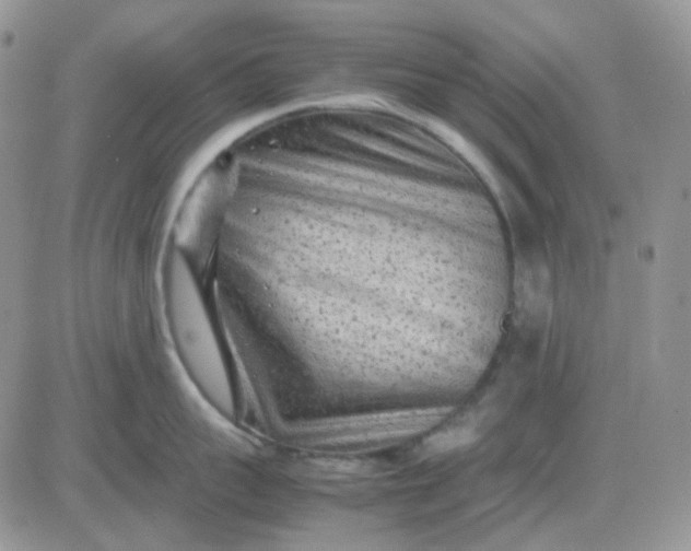 X0000081450959200701261909