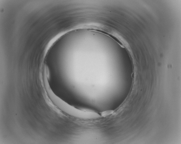 X0000081450960200701261909