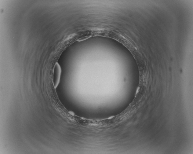 X0000081450961200701261909