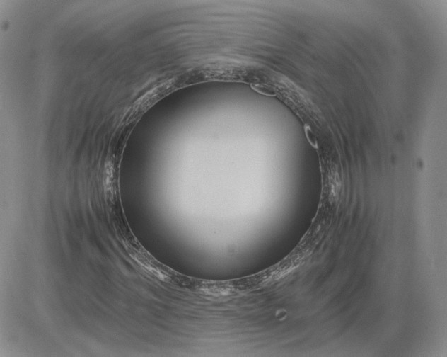 X0000081450964200701261909