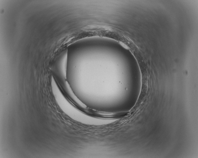 X0000081450965200701261909