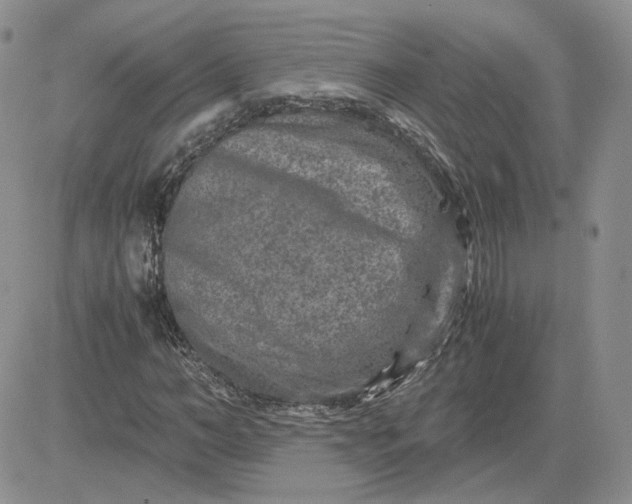 X0000081450966200701261908