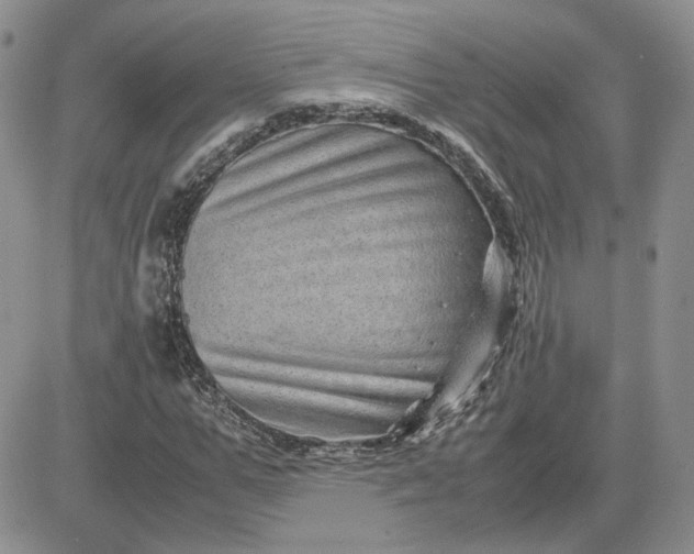 X0000081450967200701261908