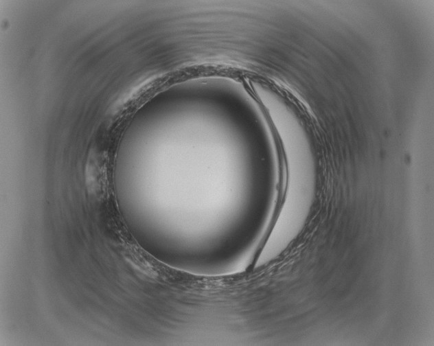 X0000081450968200701261908