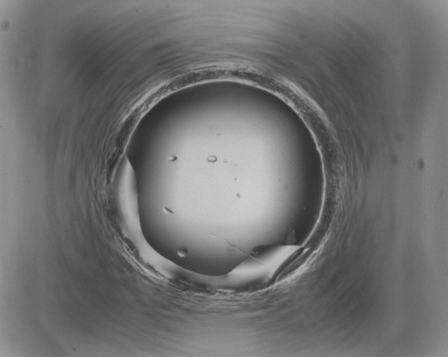 X0000081450969200701261908