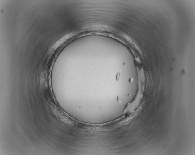 X0000081450970200701261908