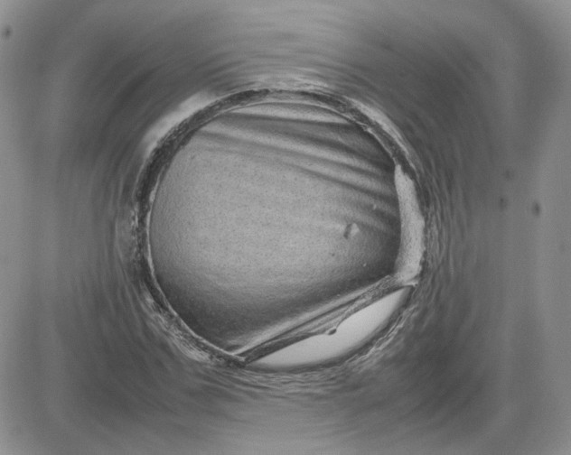 X0000081450971200701261908