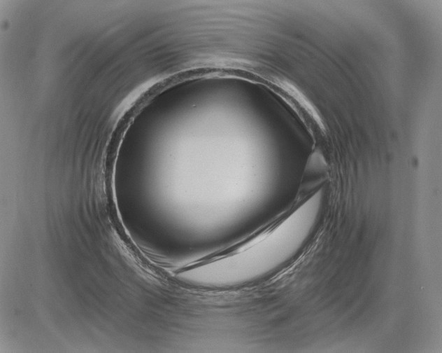 X0000081450972200701261908