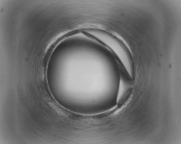 X0000081450973200701261908