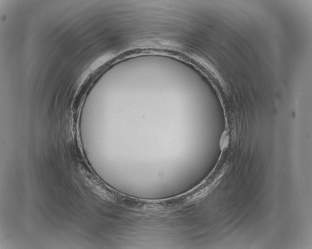 X0000081450974200701261908