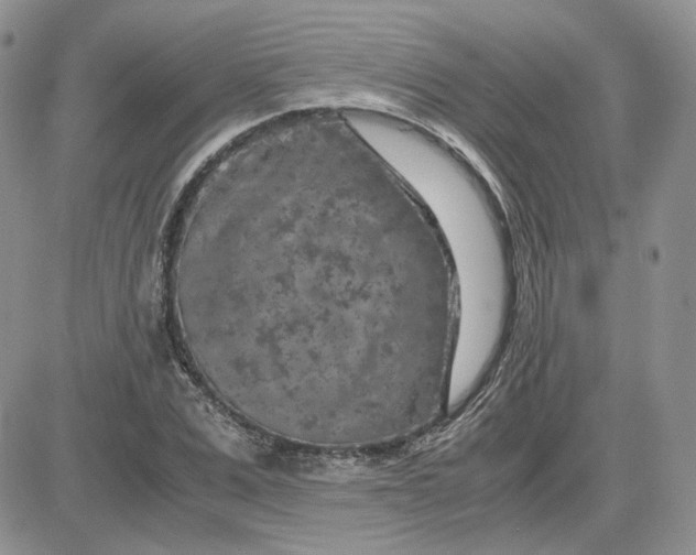 X0000081450975200701261908