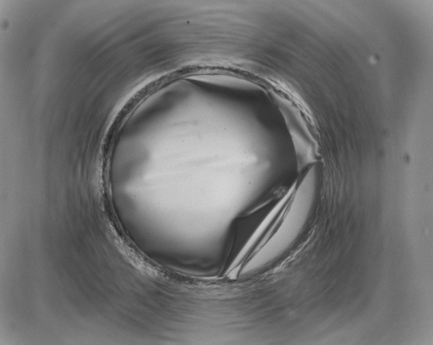 X0000081450976200701261908