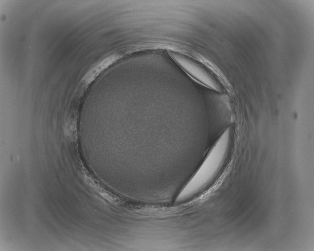 X0000081450977200701261908