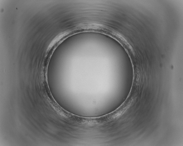 X0000081450978200701261908