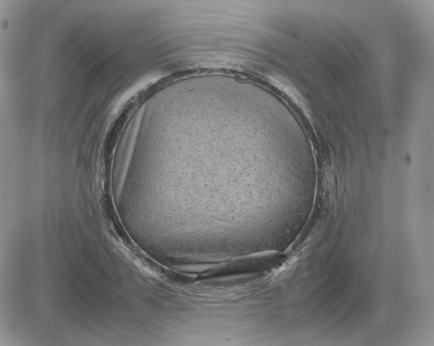 X0000081450979200701261908