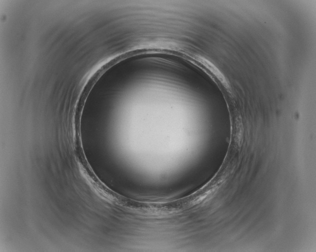 X0000081450980200701261908