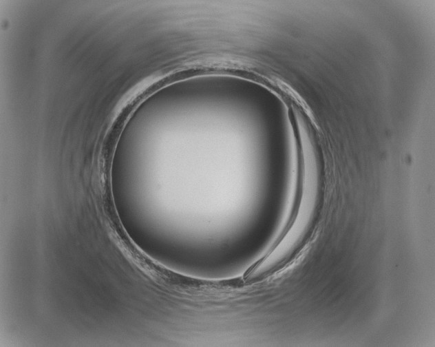 X0000081450981200701261908