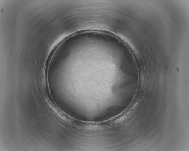 X0000081450982200701261908