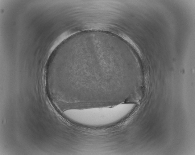 X0000081450983200701261908