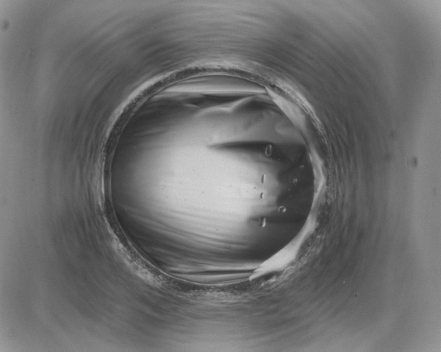 X0000081450984200701261908