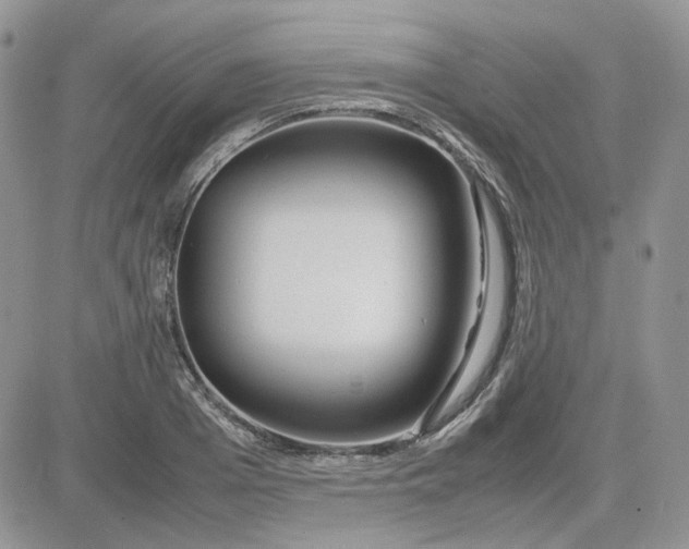 X0000081450985200701261908