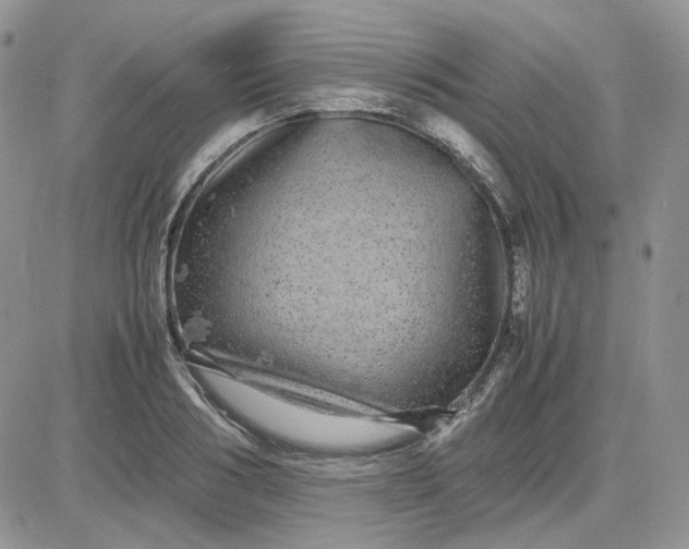 X0000081450986200701261908