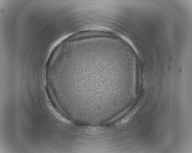 X0000081450987200701261908