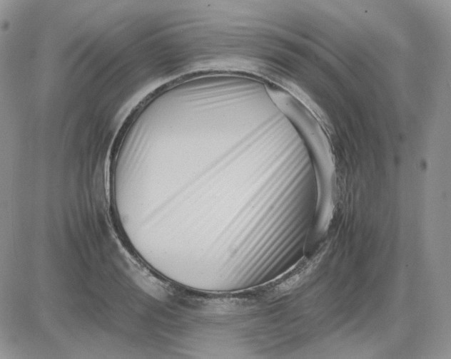 X0000081450988200701261908