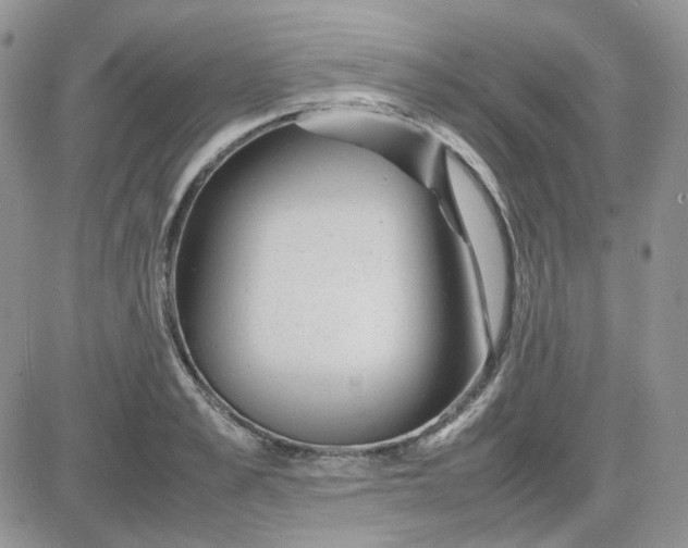 X0000081450989200701261908