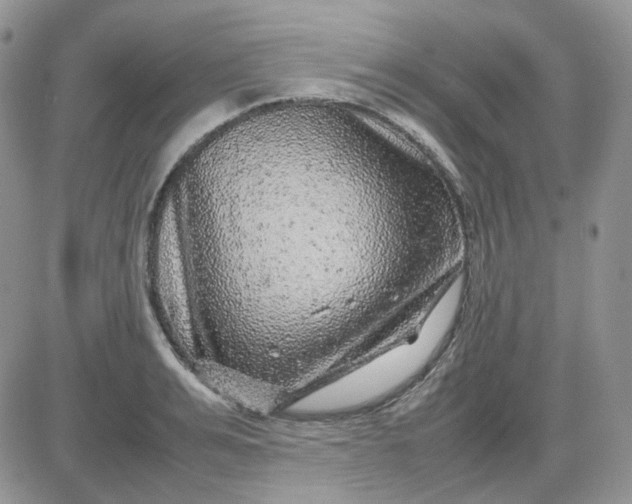 X0000081450991200701261908