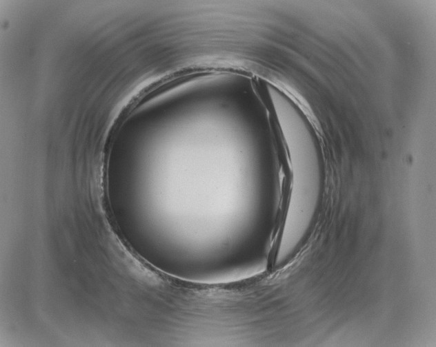 X0000081450992200701261908