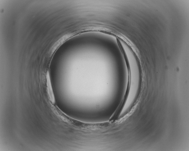 X0000081450993200701261908